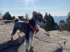 -青州市云门山风景区