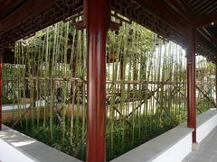 -上海滨江森林公园