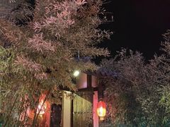 -慢丽江·云南野生菌土鸡锅(付家庄店)