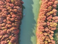 -上海海湾国家森林公园