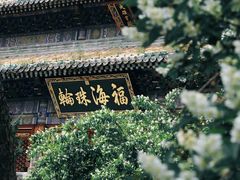 -潭柘寺景区