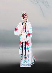 -梨园天地京剧摄影(玲珑天地店)