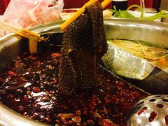 -朱氏胖子烂火锅(洪崖洞店)
