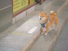 -护国寺小吃(和平西街店)