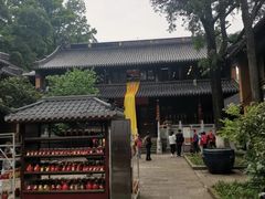 -灵谷景区