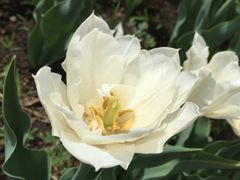 -长春公园(普阳街道)