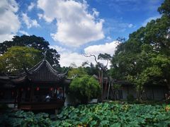 -上海醉白池公园