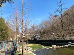-白水寺森林公园