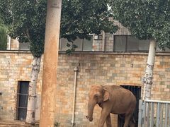 -石家庄市动物园