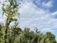 -沙河三洞古桥公园