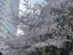 -玛格萝妮比萨屋(四平店)