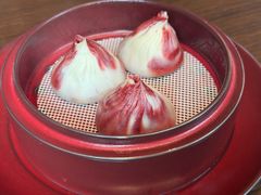 -随堂里