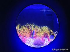 -欢乐海岸海洋奇梦馆