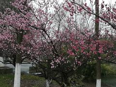 -公益图书馆(江南大学店)