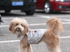 -小意思咖啡店(草桥店)