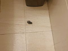 -张家界青和锦江国际酒店