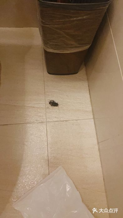 张家界青和锦江国际酒店图片