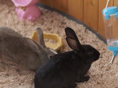 -珠海海泉湾神秘岛亲子乐园