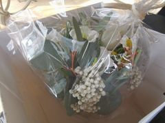 -植物学家的女儿(北马道巷店)