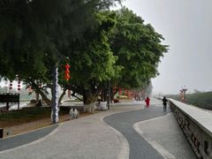 -宝安西湾红树林湿地公园