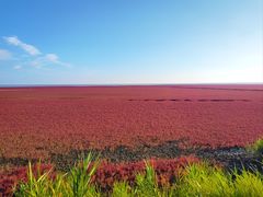 -红海滩国家风景廊道