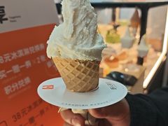 -野人先生现做冰淇淋(北京环宇荟店)