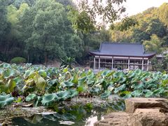 -团城山公园