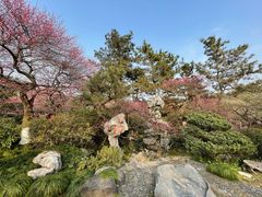 -杭州植物园