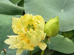 -云溪植物园