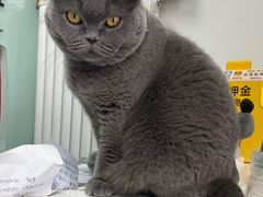 -中农大我爱我爱动物医院·核磁CT·猫病·24小时夜诊中心(石佛营店)