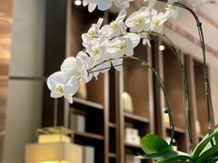 -领事馆19号中餐厅(厦门海景洲际酒店)