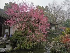 -杭州植物园