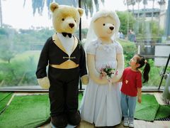 -济州岛泰迪熊博物馆