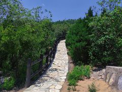 -北京西山国家森林公园