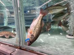 -盒马X会员店(上海森兰商都店)