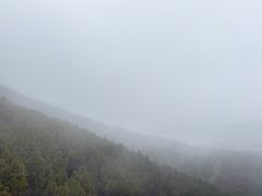 -抱犊崮国家森林公园