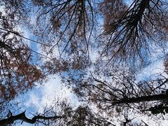 -山王坪喀斯特国家生态公园