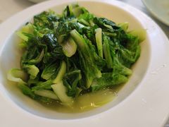 时令蔬菜-新名仕新白玉兰餐厅