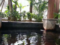 -南宫温泉水世界