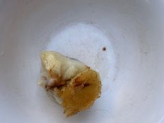-依云煎包店