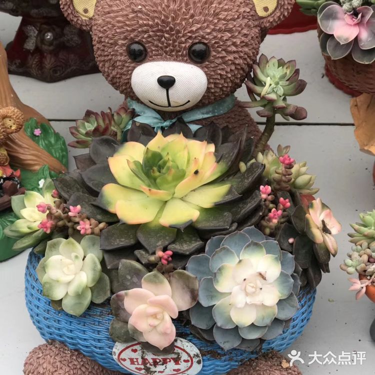 逛花市过年咯！