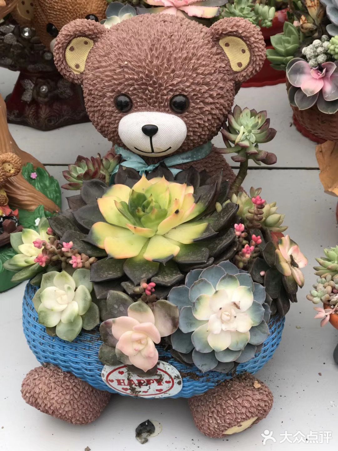 逛花市过年咯！
