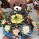 逛花市过年咯！