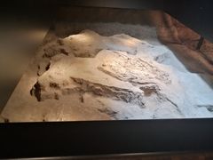 -侵华日军南京大屠杀遇难同胞纪念馆