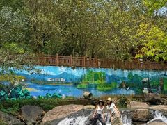 -广州白江湖森林公园