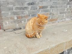 -大钟寺古钟博物馆