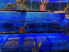水产区-好媳妇(太湖路店)