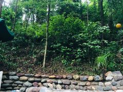 -中铁花水湾温泉酒店(大邑店)