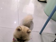 -佳雯宠物医院(金华南路分院)