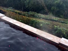 -天目湖涵田半山温泉水乐园